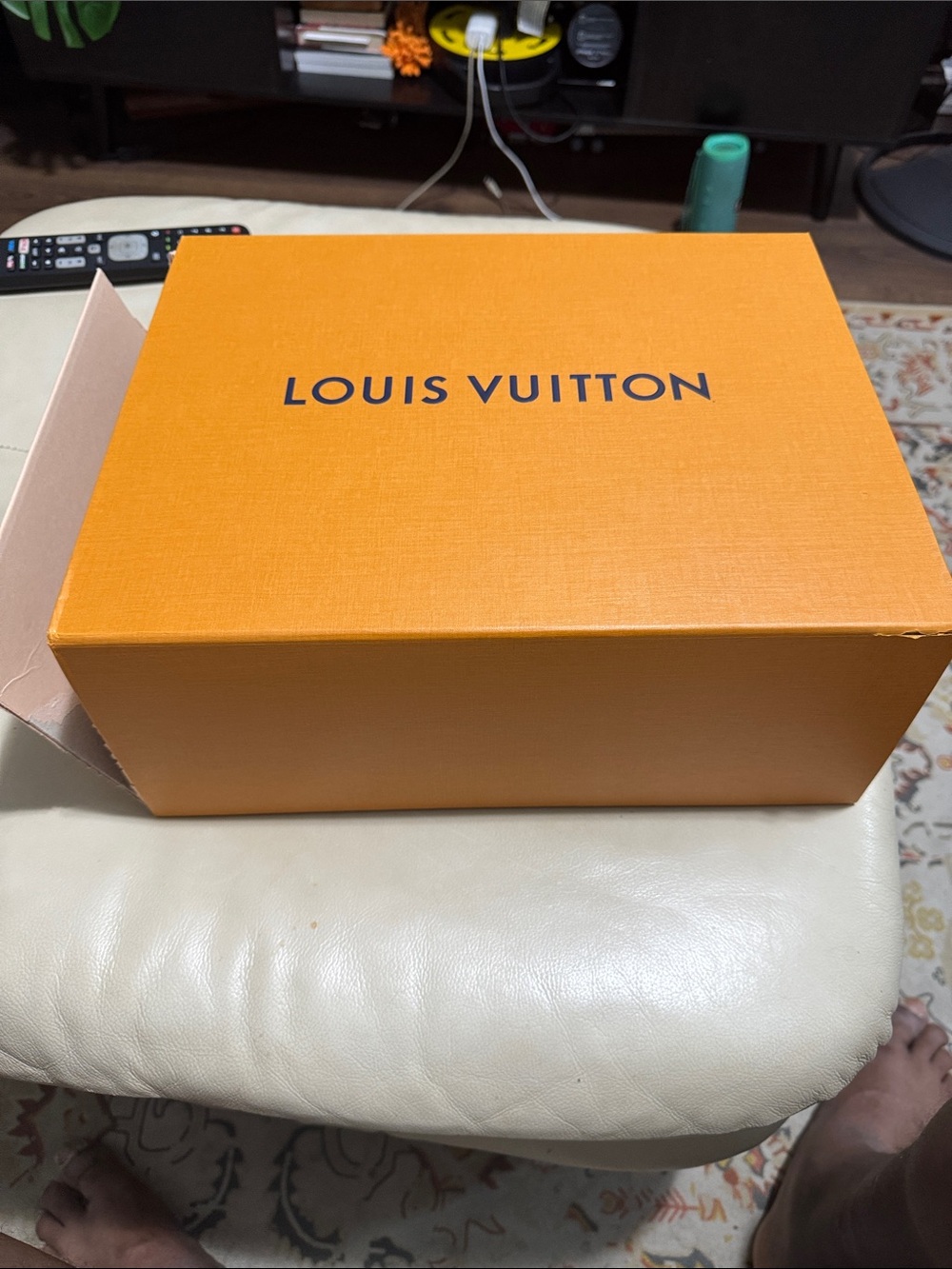 Louis Vuitton web sneakers %100 Authentic with box and dust bag